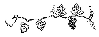 A cepa (versão original)